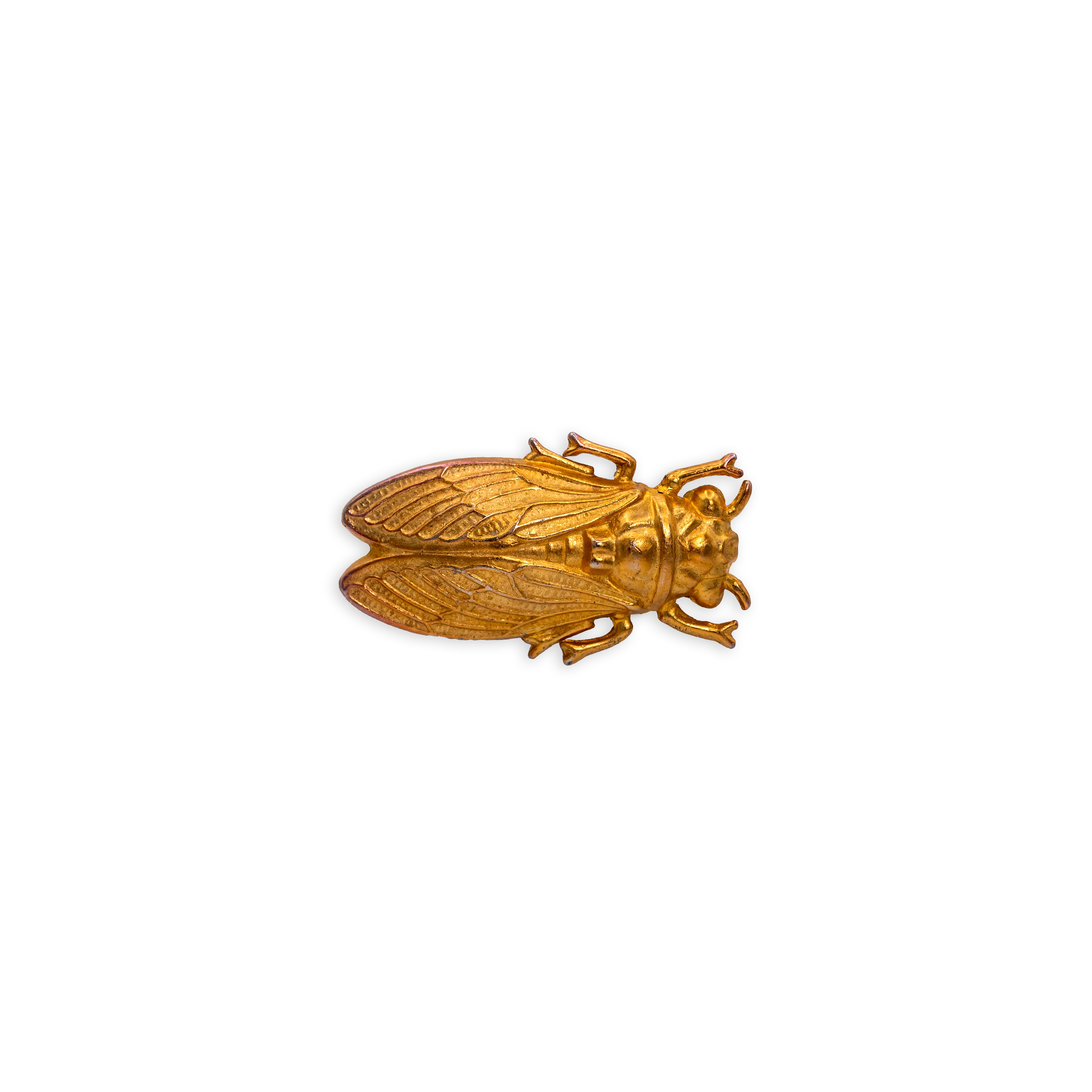 Bahiana Escarabajo